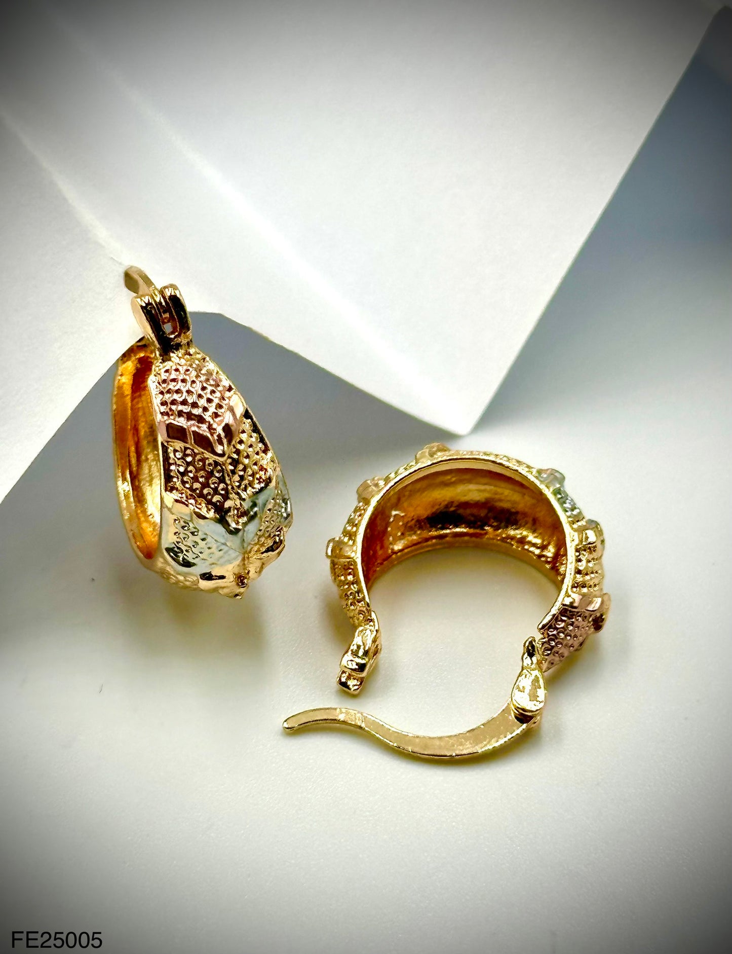 Fashion Earrings (FE25005)