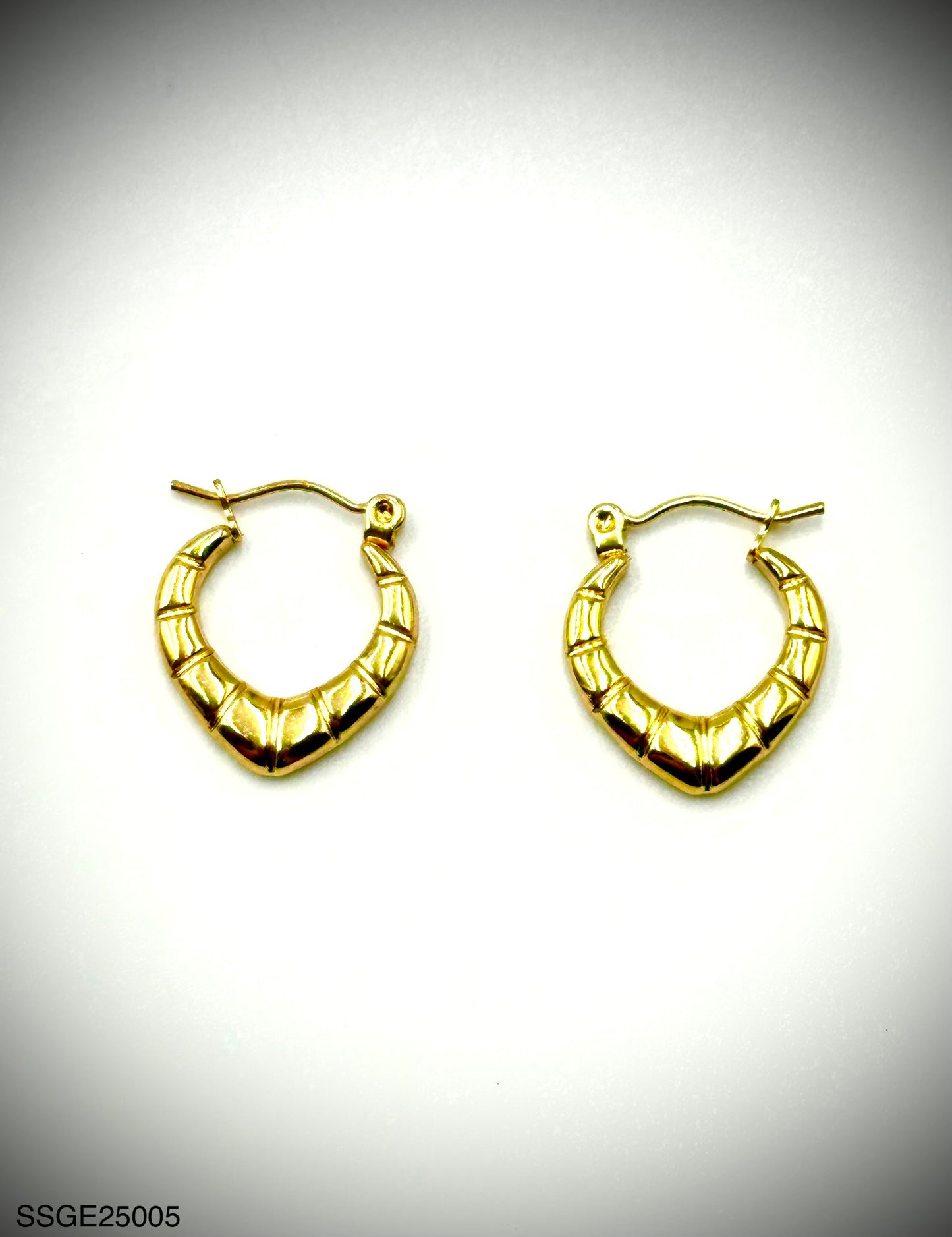 Stainless Steel Earrings (SSGE25005)