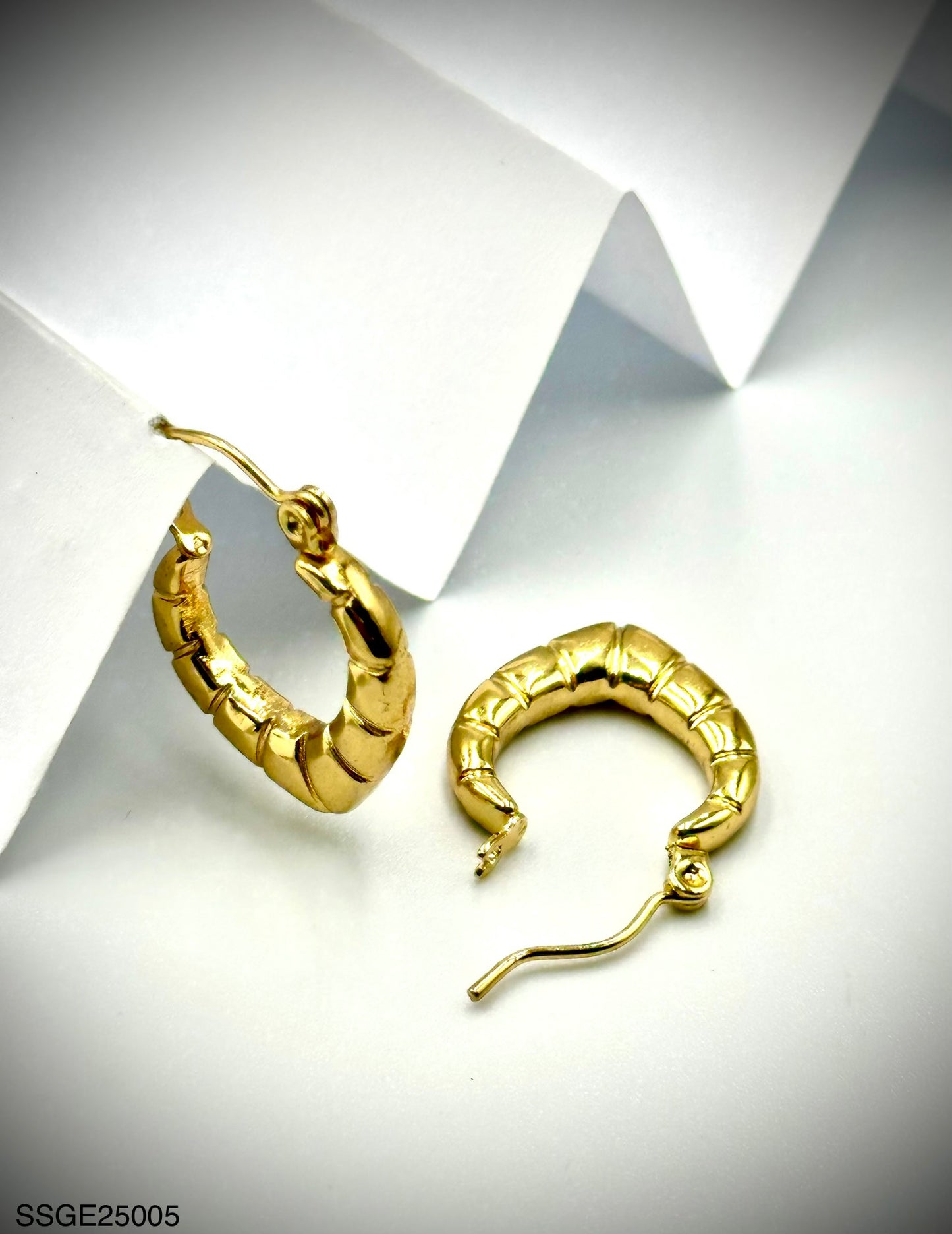 Stainless Steel Earrings (SSGE25005)