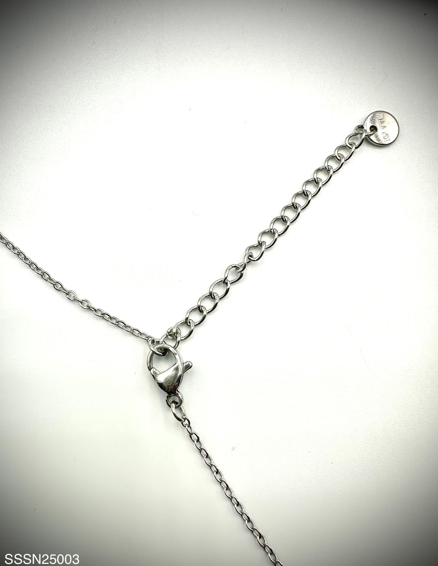 Stainless Steel Necklace (SSSN25003)