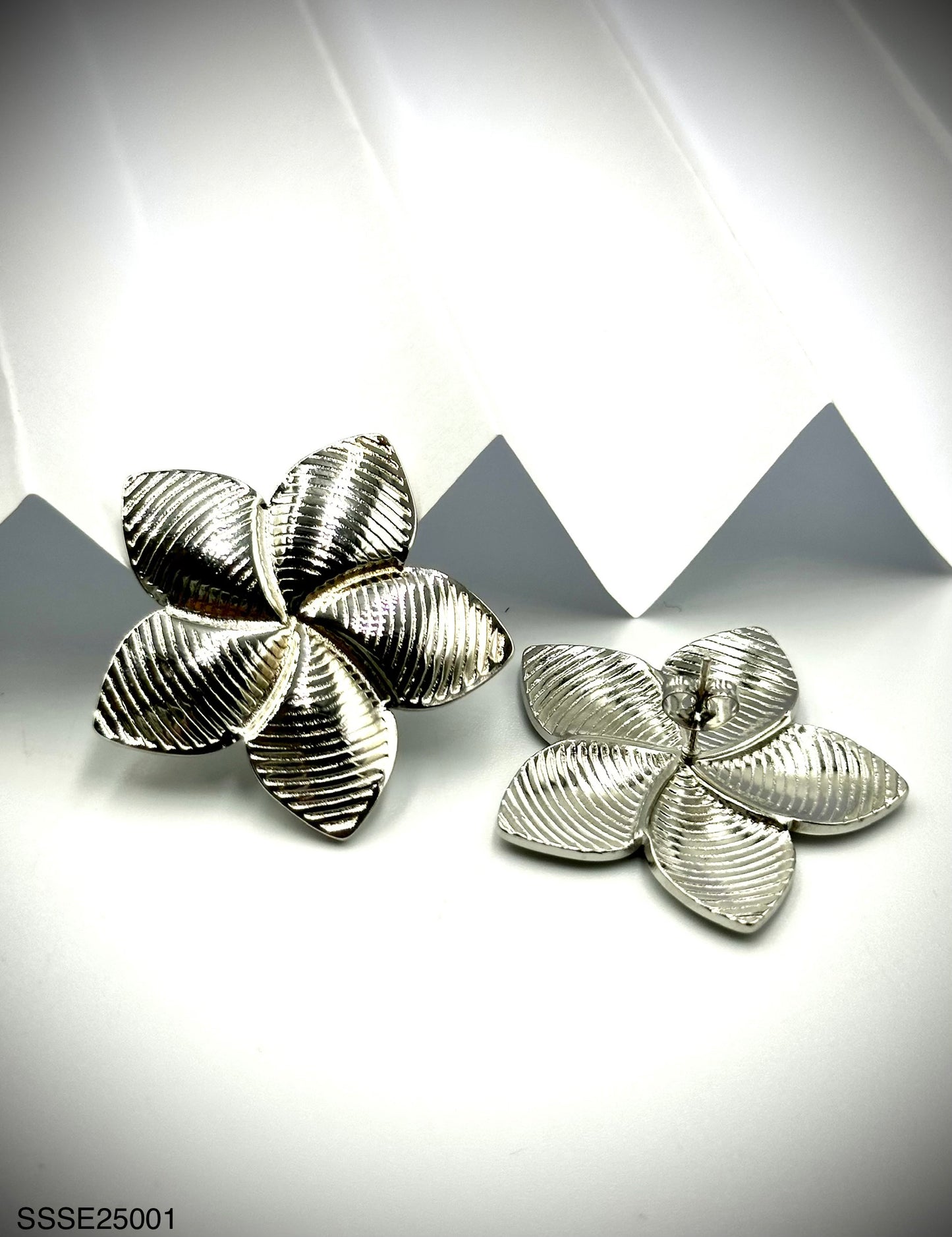 Stainless Steel Earrings (SSSE25001)