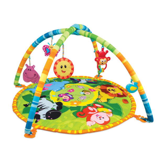 Baby Fitness Frame