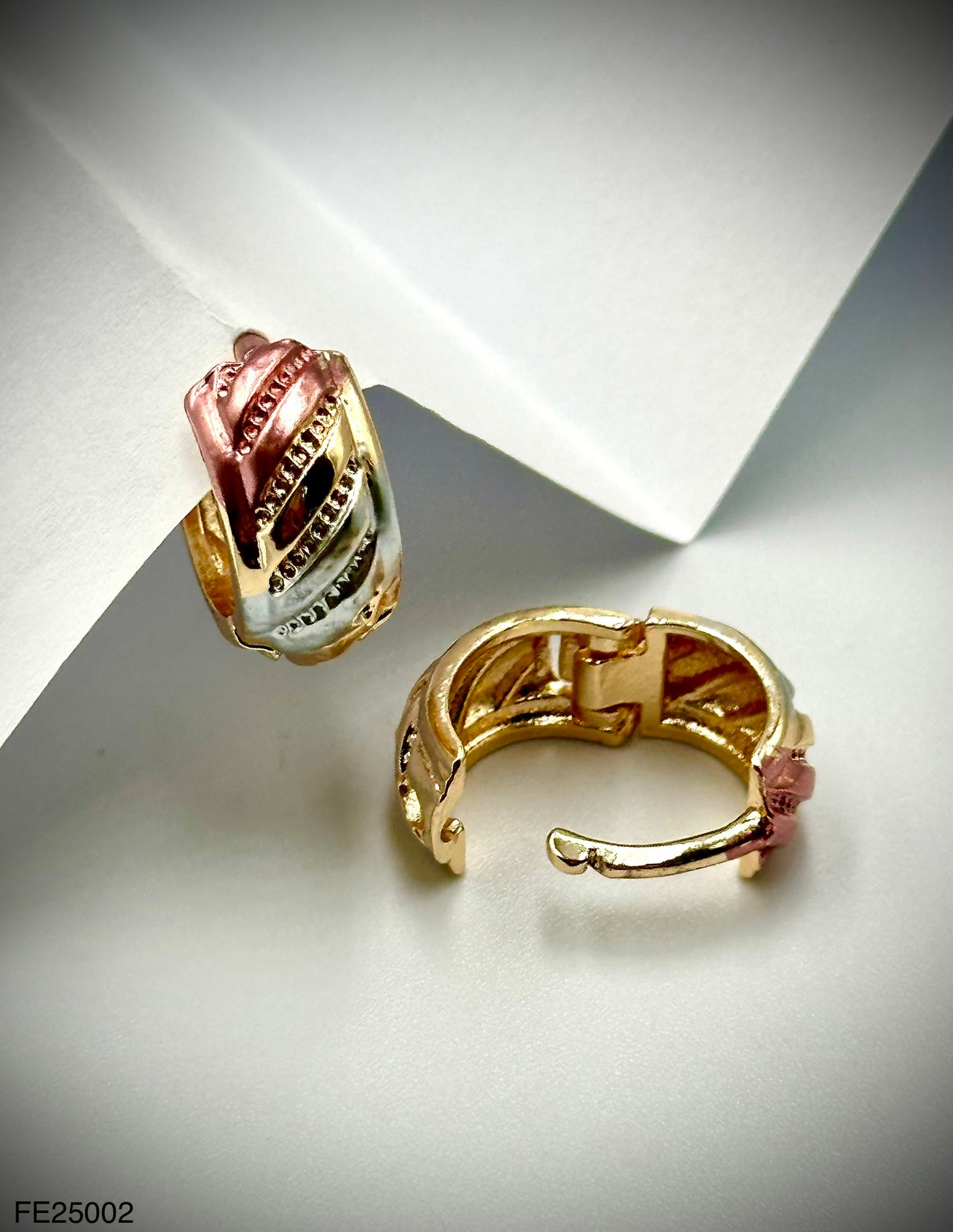 Fashion Earrings (FE25002)