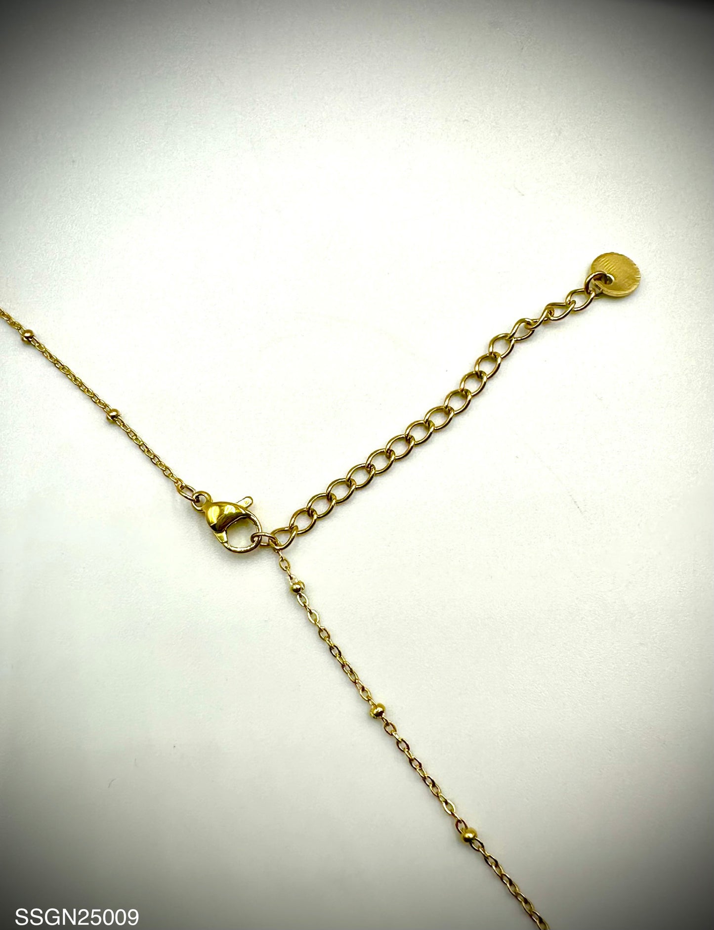 Stainless Steel Necklace (SSGN25009)