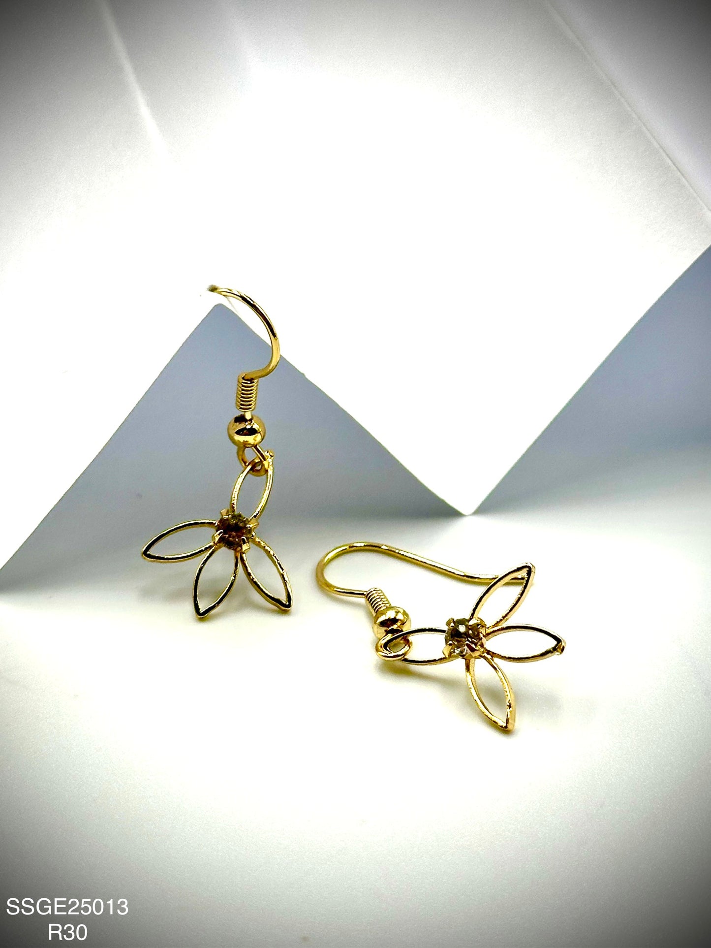 Stainless Steel Earrings (SSGE25013)