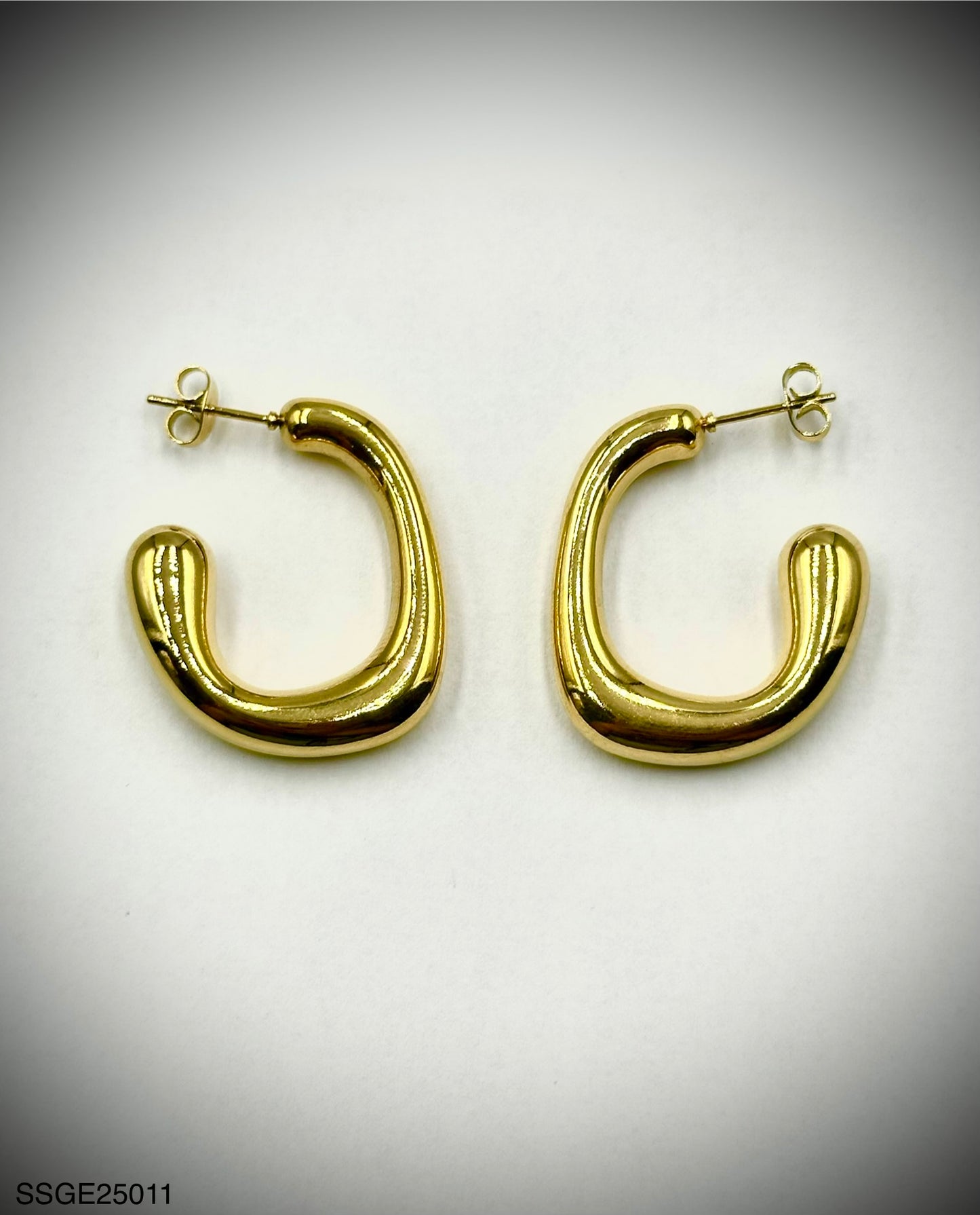 Stainless Steel Earrings (SSGE25011)