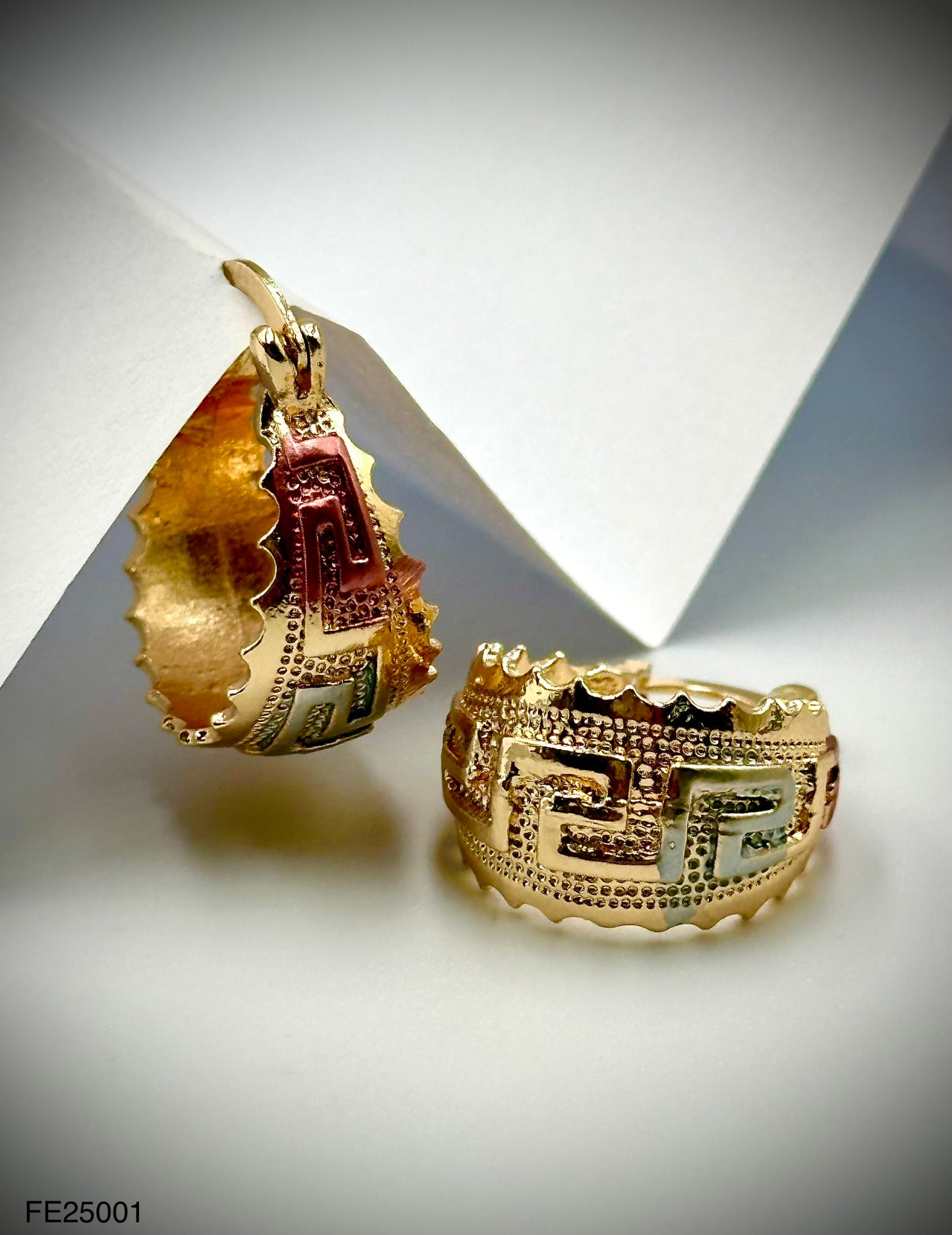 Fashion Earring (FE25001)