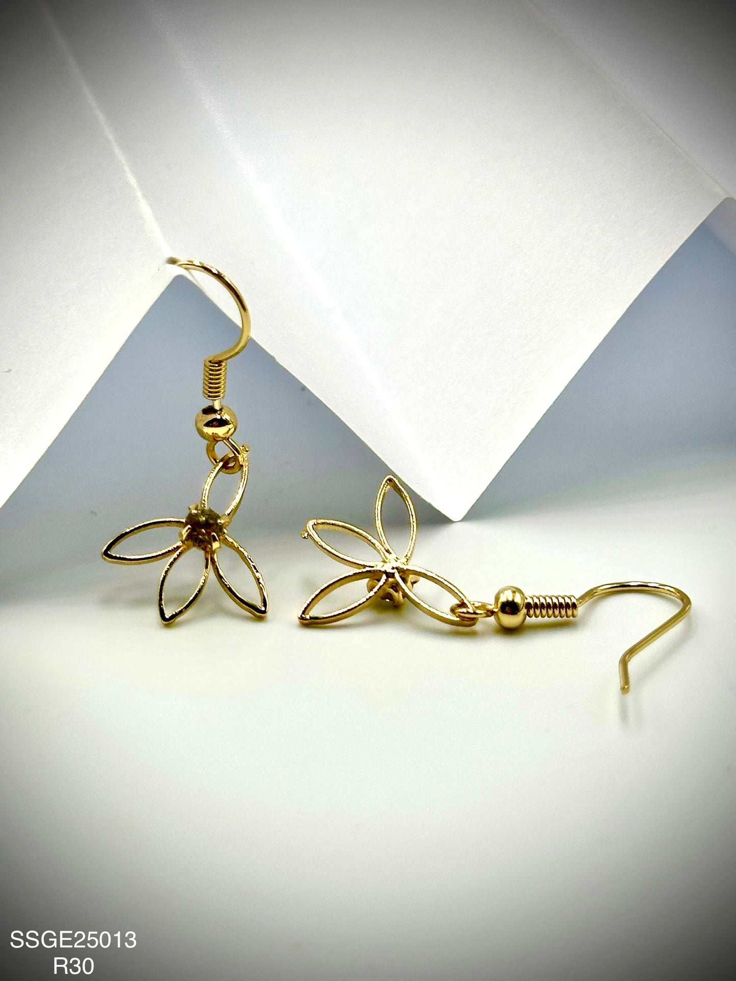 Stainless Steel Earrings (SSGE25013)