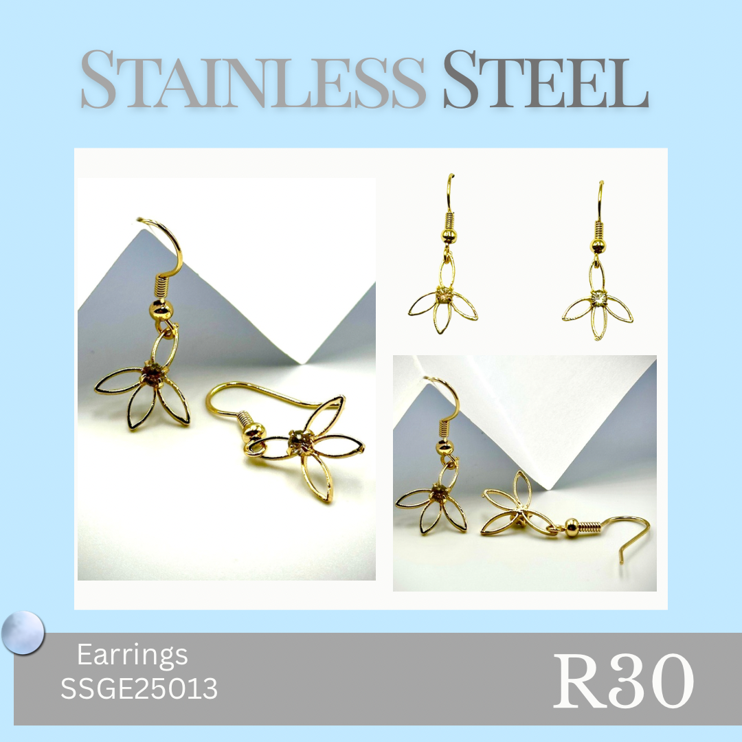 Stainless Steel Earrings (SSGE25013)