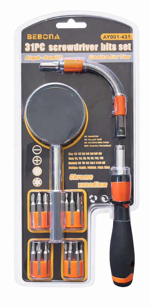 31-Piece Precision Screwdriver Bit Set with Magnifier
