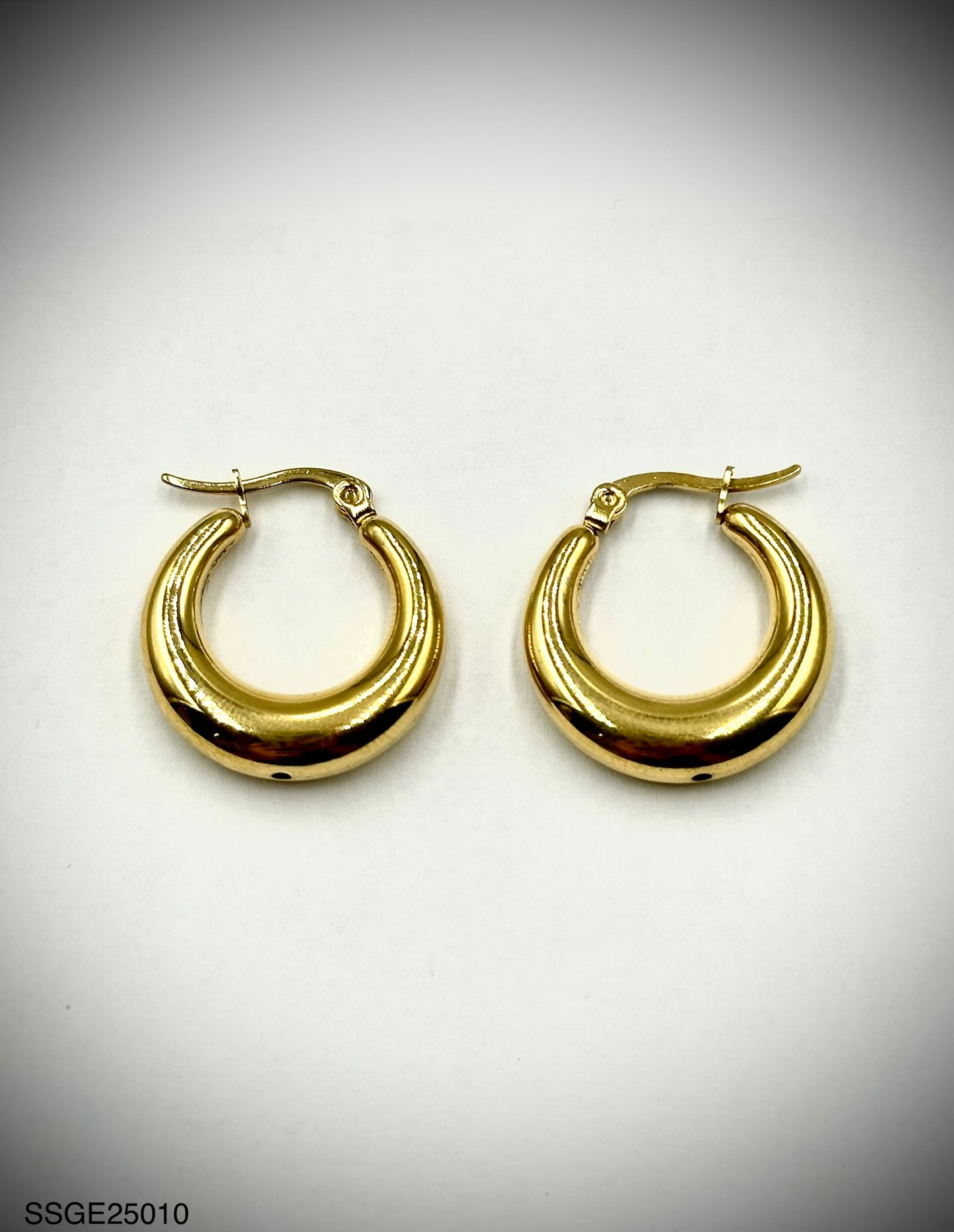 Stainless Steel Earrings (SSGE25010)