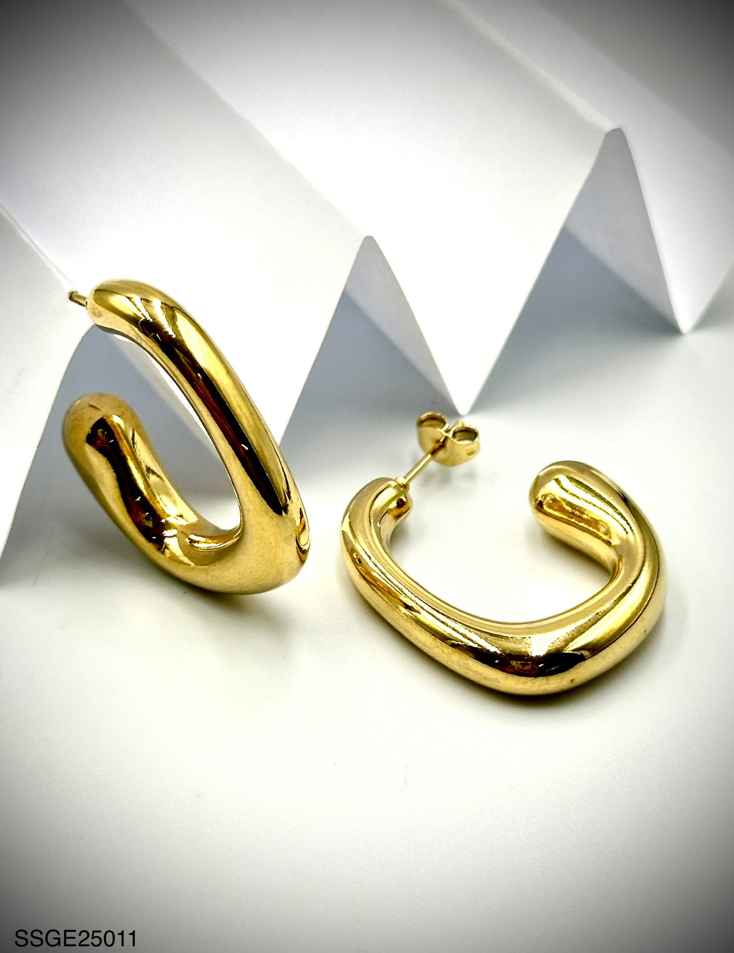 Stainless Steel Earrings (SSGE25011)