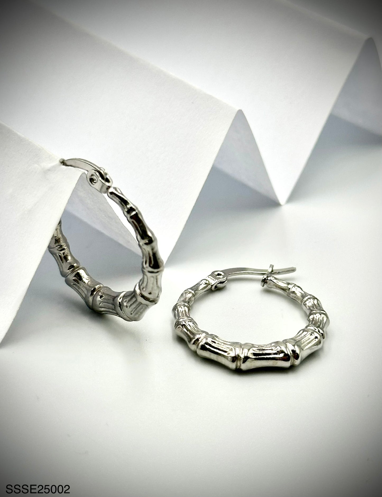 Stainless Steel Earrings (SSSE25002)