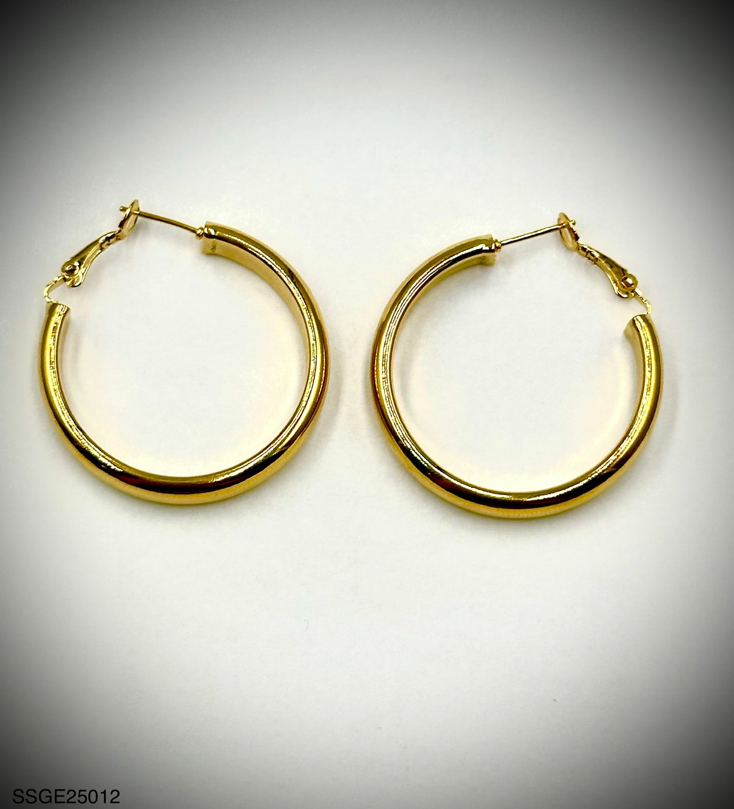 Stainless Steel Earrings (SSGE25012)