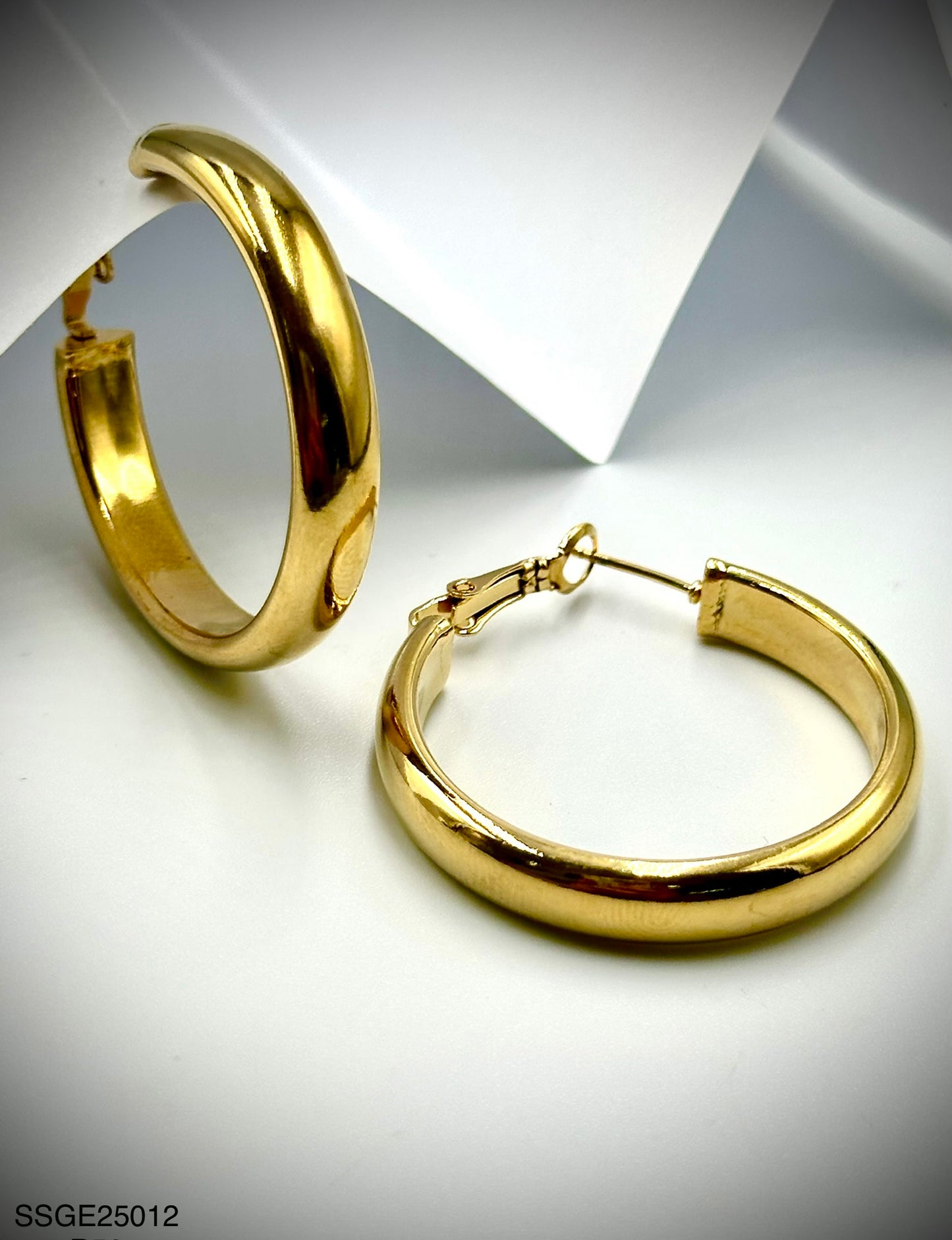 Stainless Steel Earrings (SSGE25012)