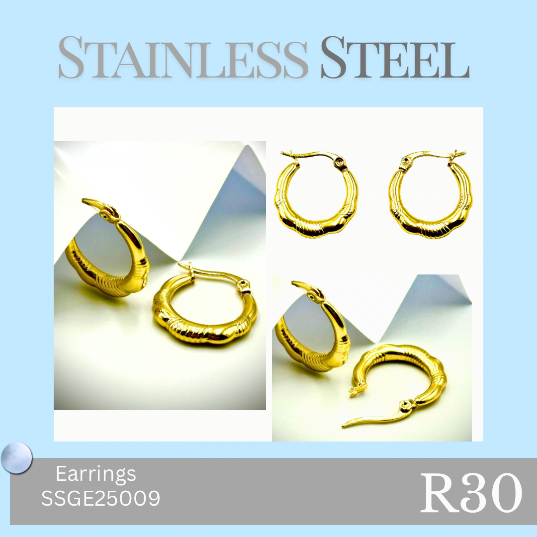 Stainless Steel Earrings (SSGE25009)
