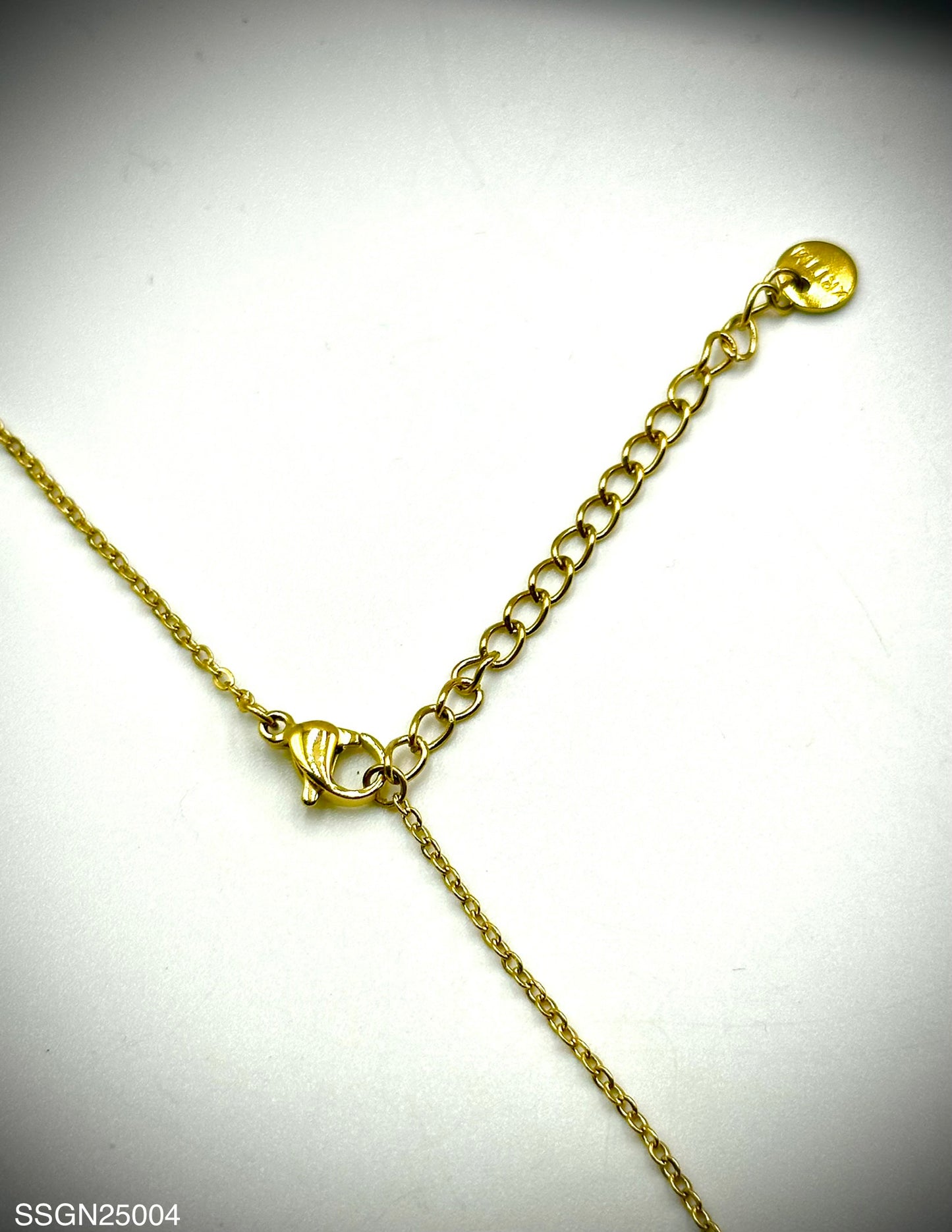 Stainless Steel Necklace (SSGN25004)