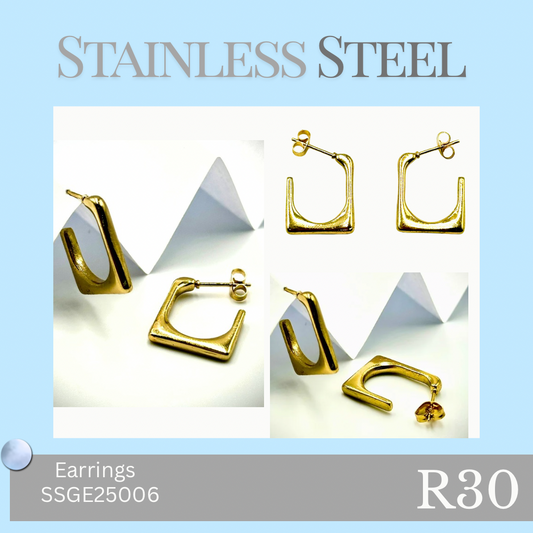 Stainless Steel Earrings (SSGE25006)
