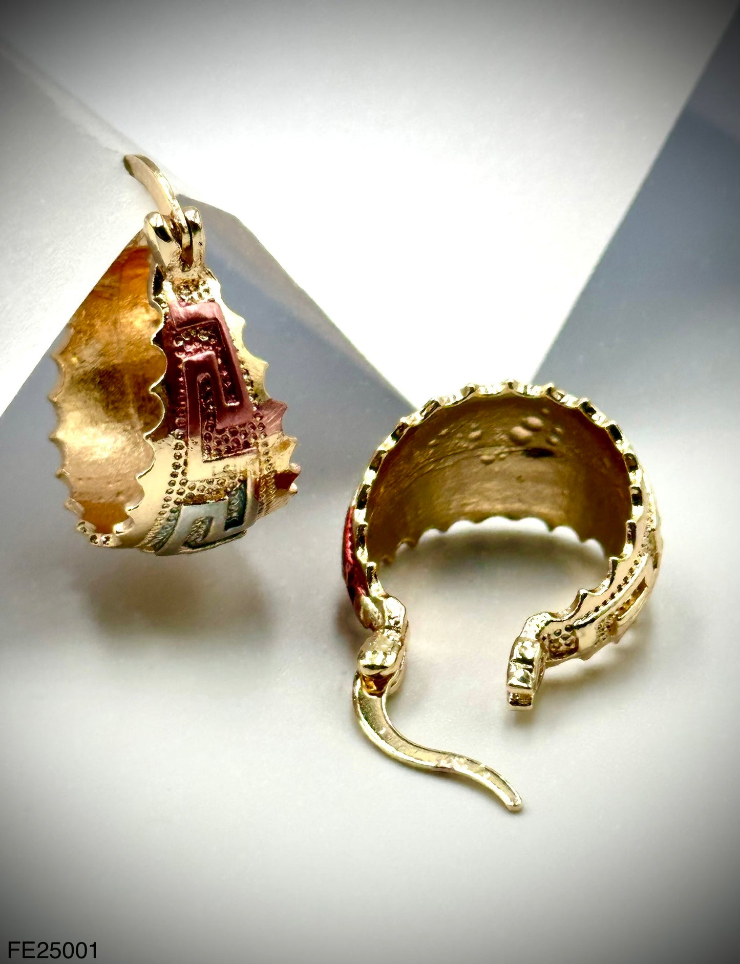 Fashion Earring (FE25001)