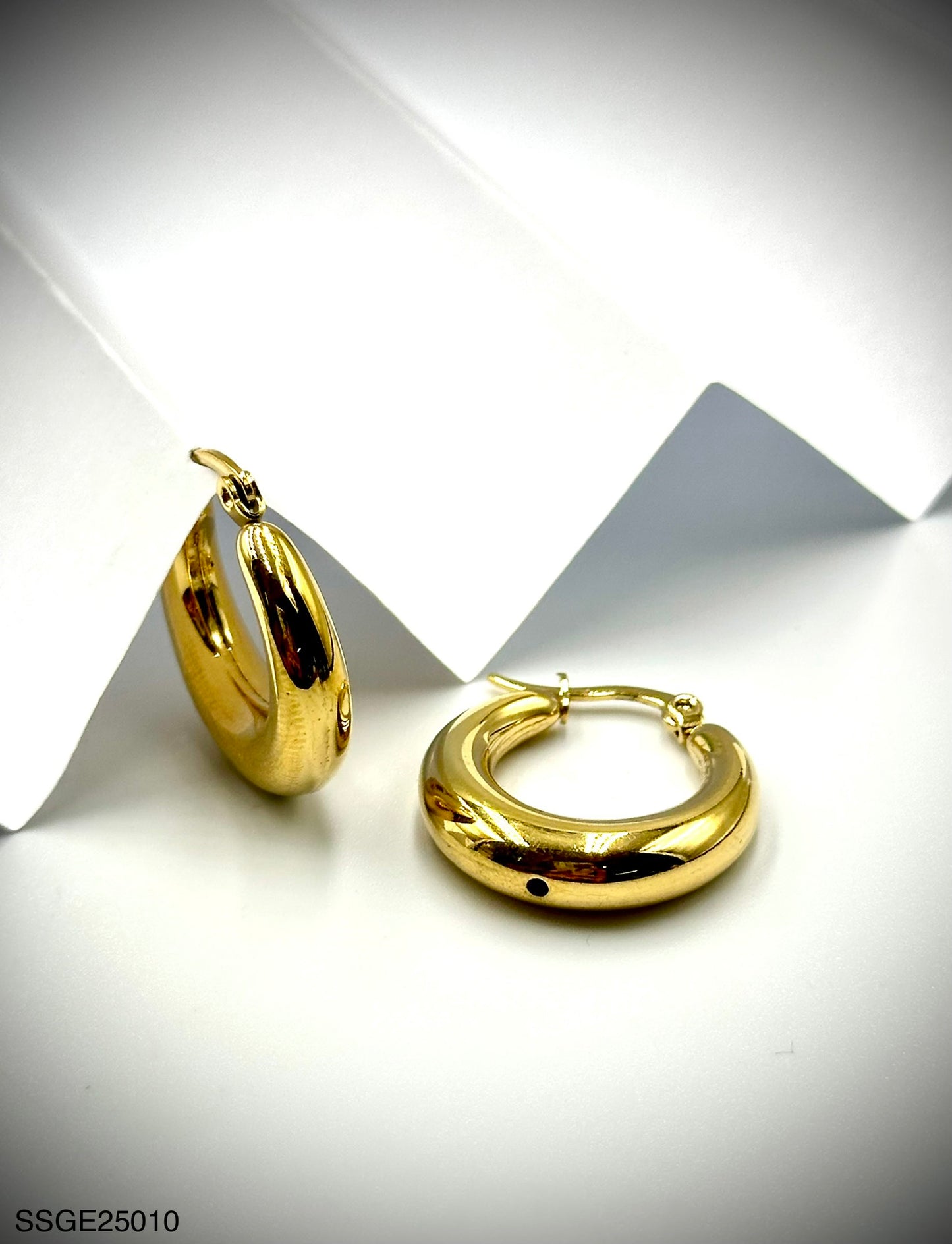 Stainless Steel Earrings (SSGE25010)