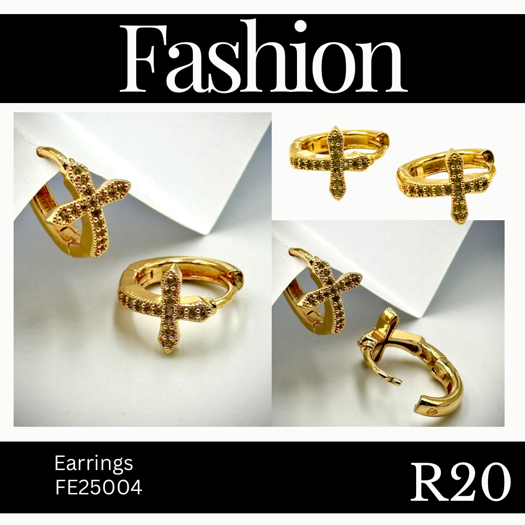 Fashion Earrings (FE25004)