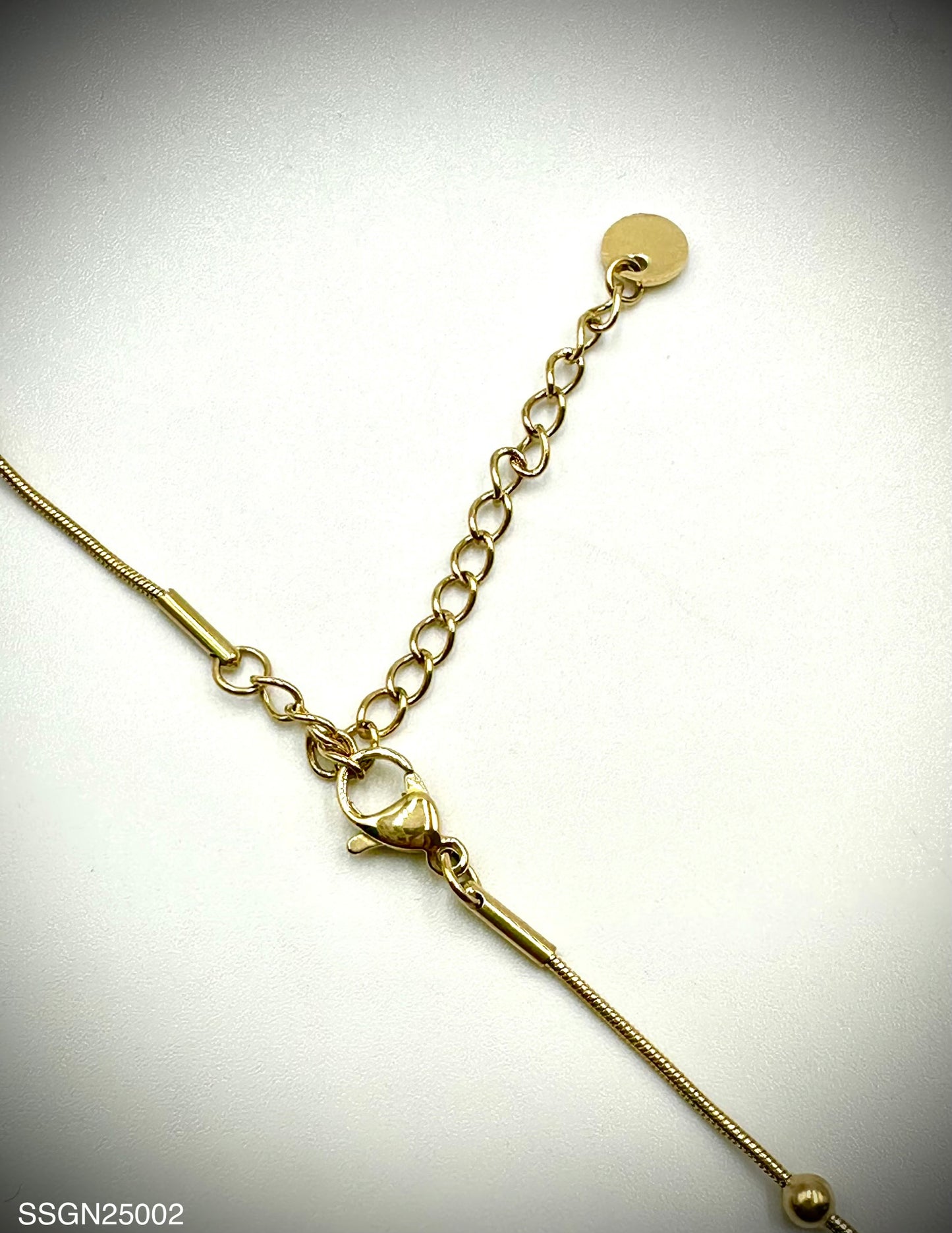 Stainless Steel Necklace (SSGN25002)