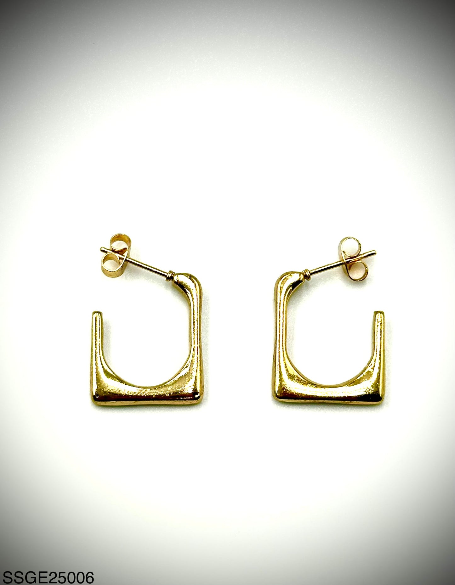 Stainless Steel Earrings (SSGE25006)
