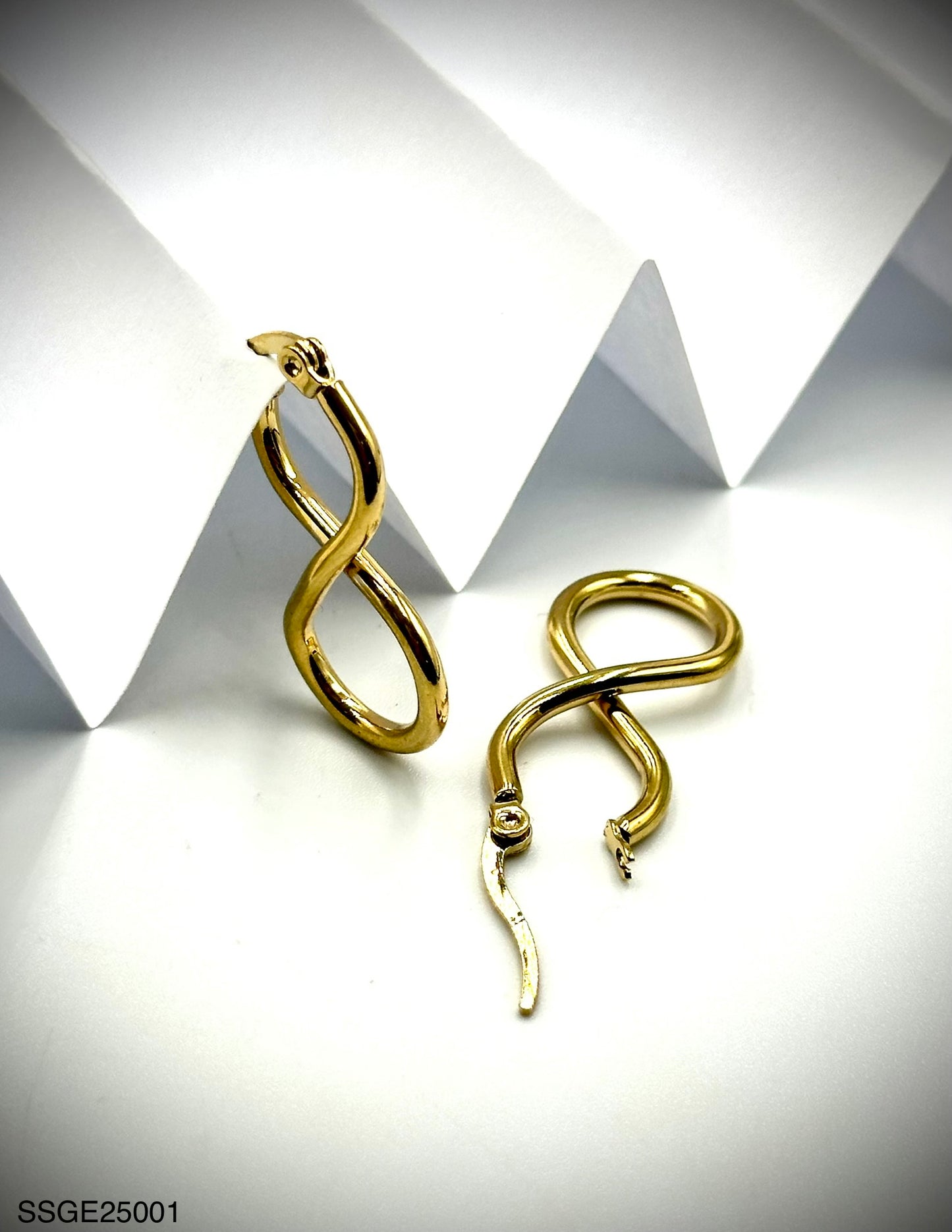 Stainless Steel Earrings (SSGE25001)