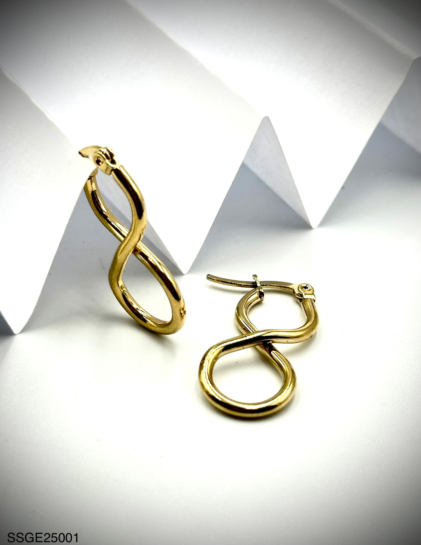 Stainless Steel Earrings (SSGE25001)