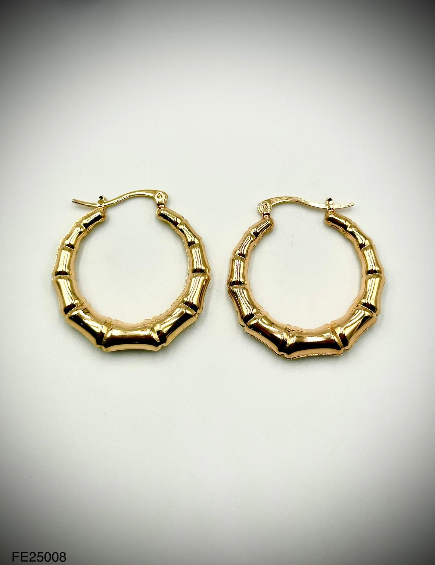 Fashion Earrings (FE25008)