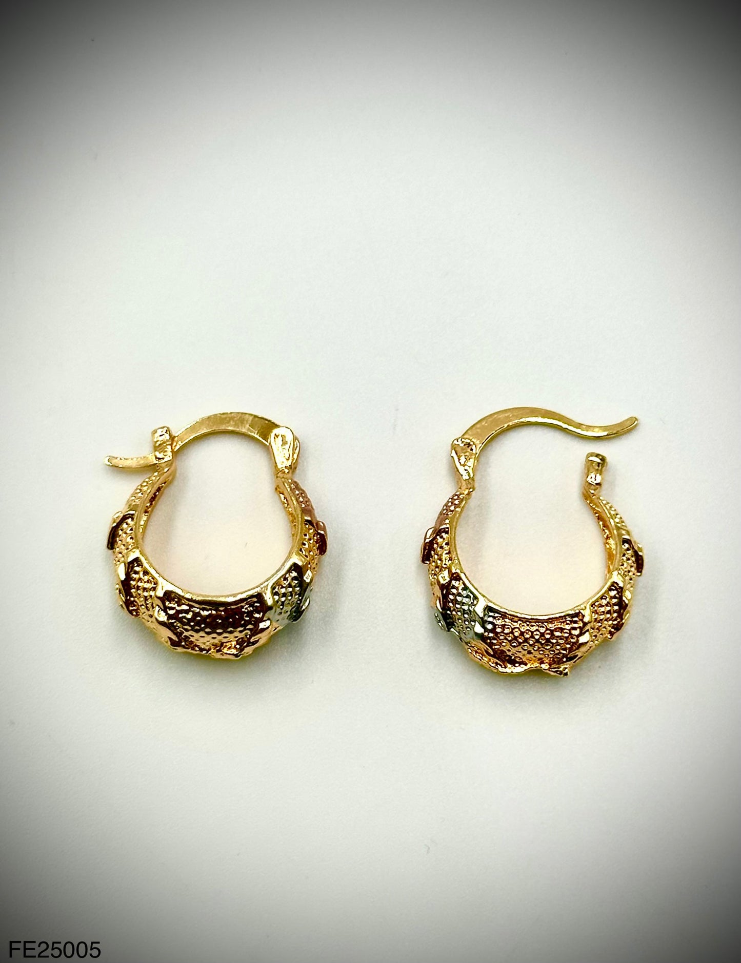 Fashion Earrings (FE25005)