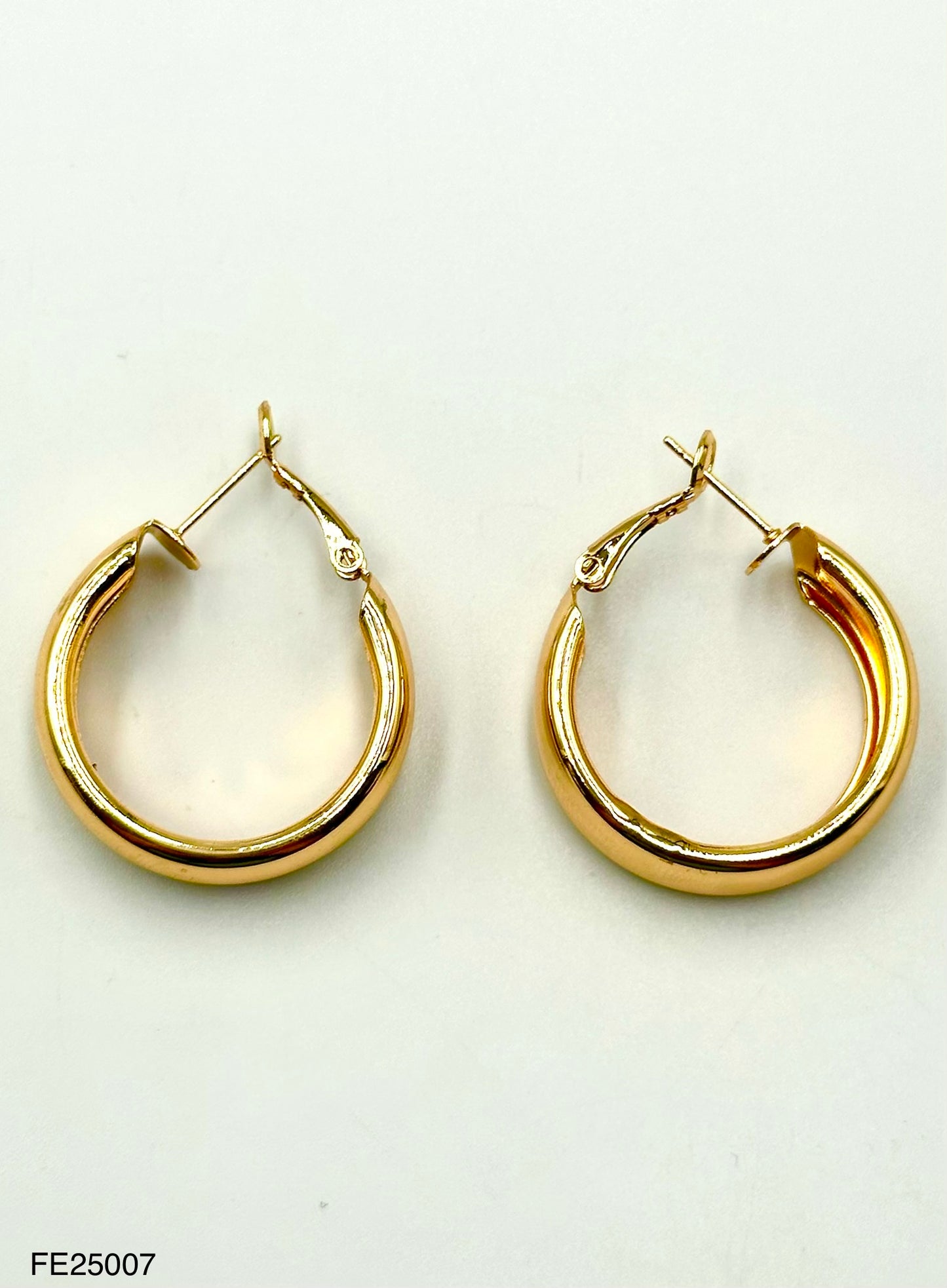 Fashion Earrings (FE25007)