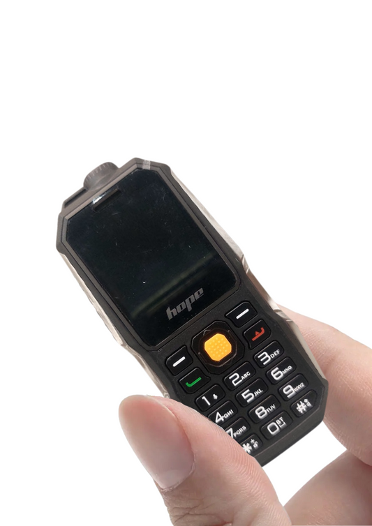 Mini Phone 2700