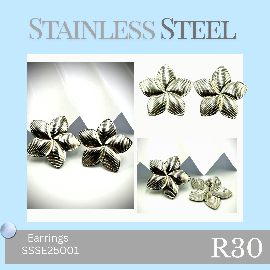 Stainless Steel Earrings (SSSE25001)