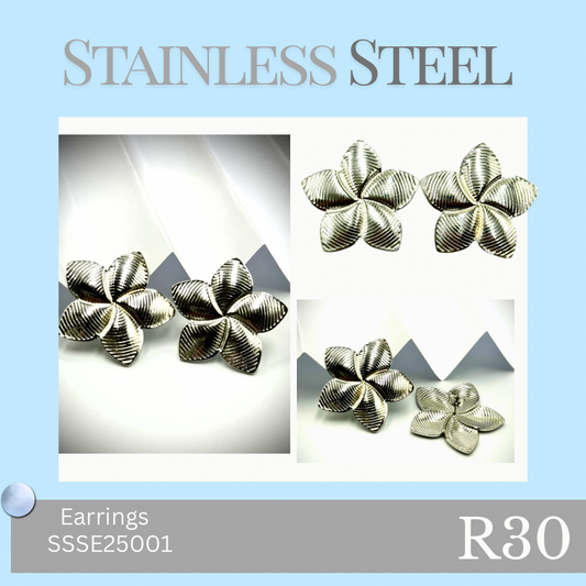 Stainless Steel Earrings (SSSE25001)