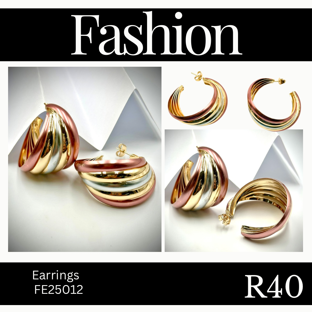 Fashion Earrings (FE25012)