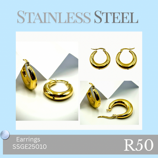 Stainless Steel Earrings (SSGE25010)