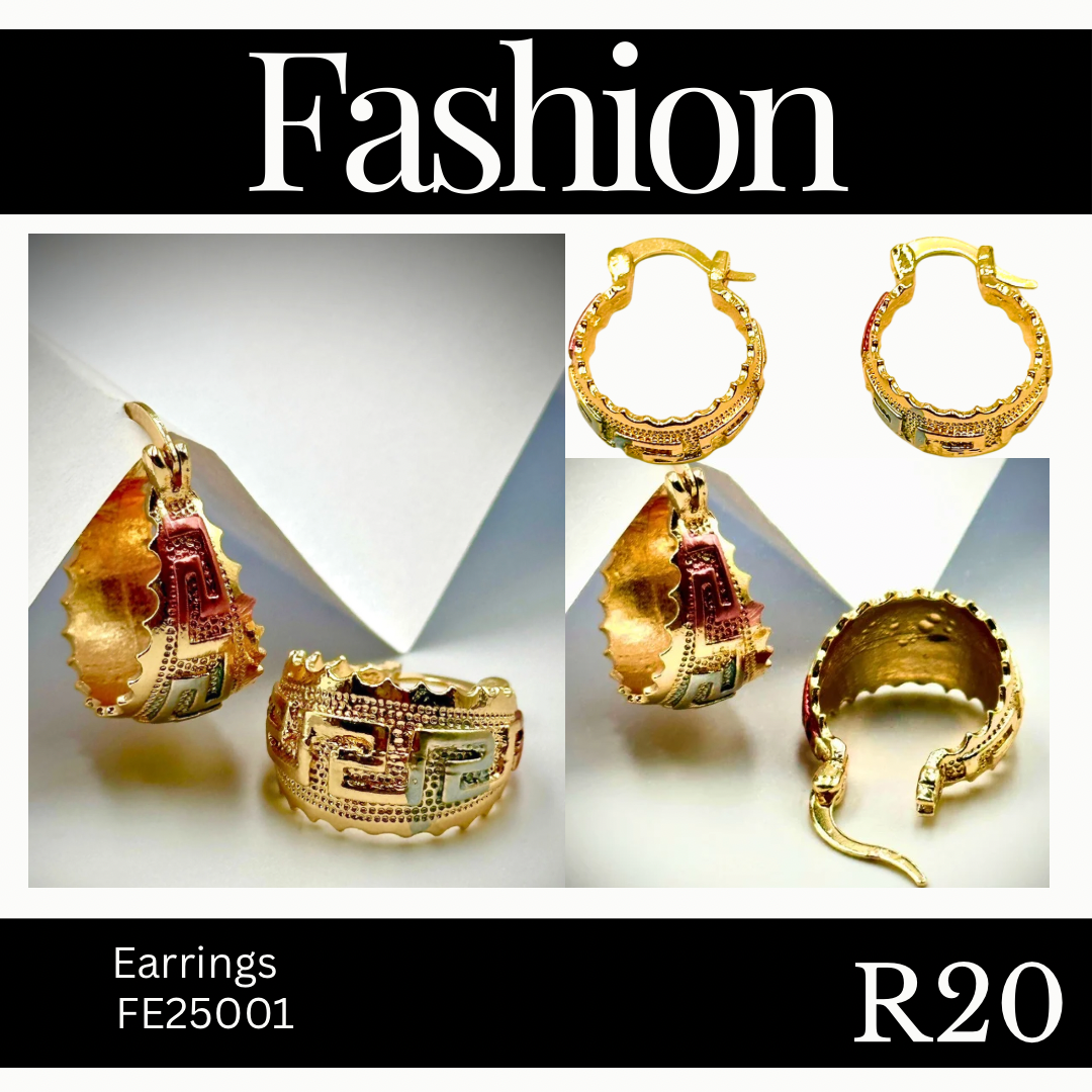 Fashion Earring (FE25001)