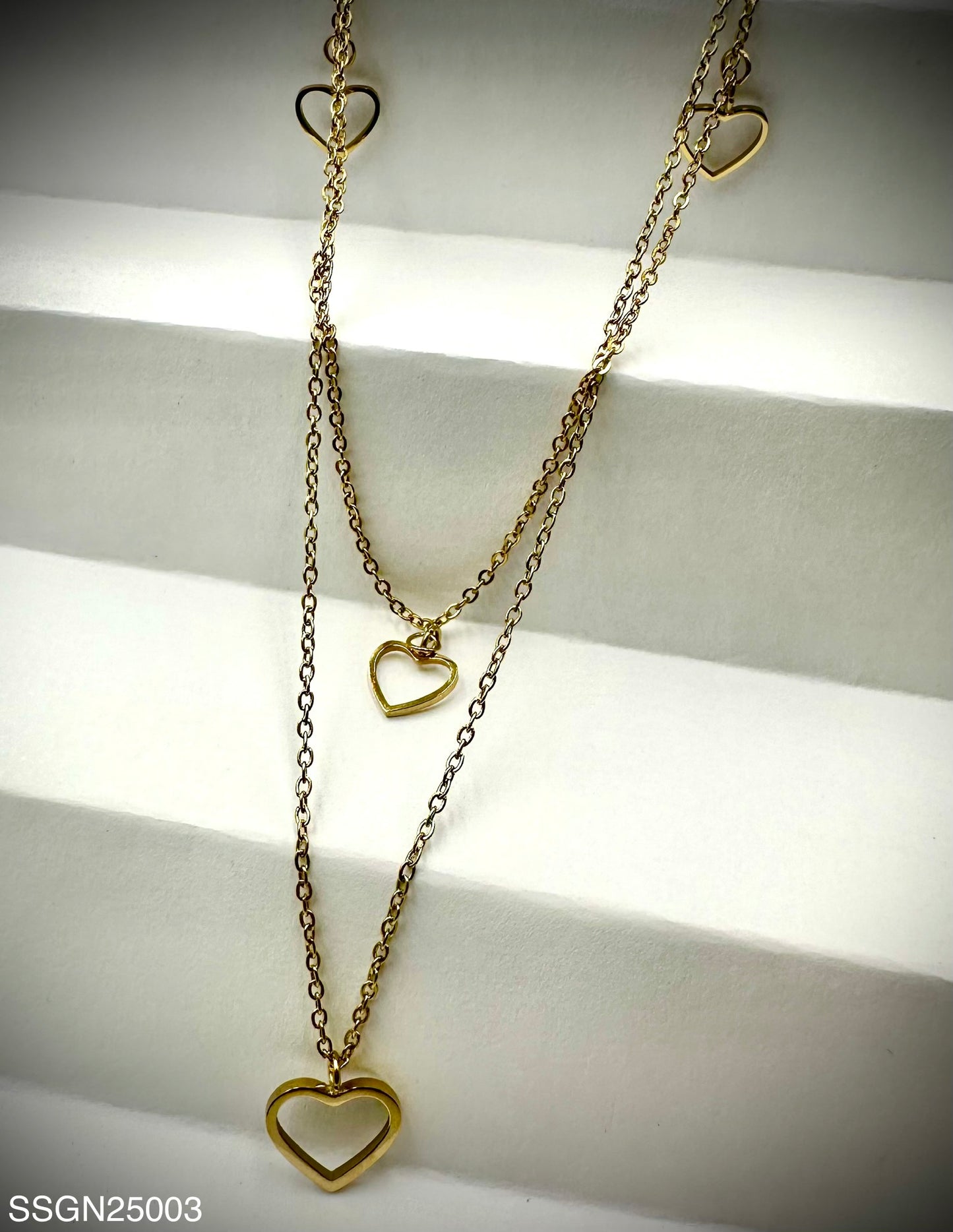 Stainless Steel Necklace (SSGN25003)