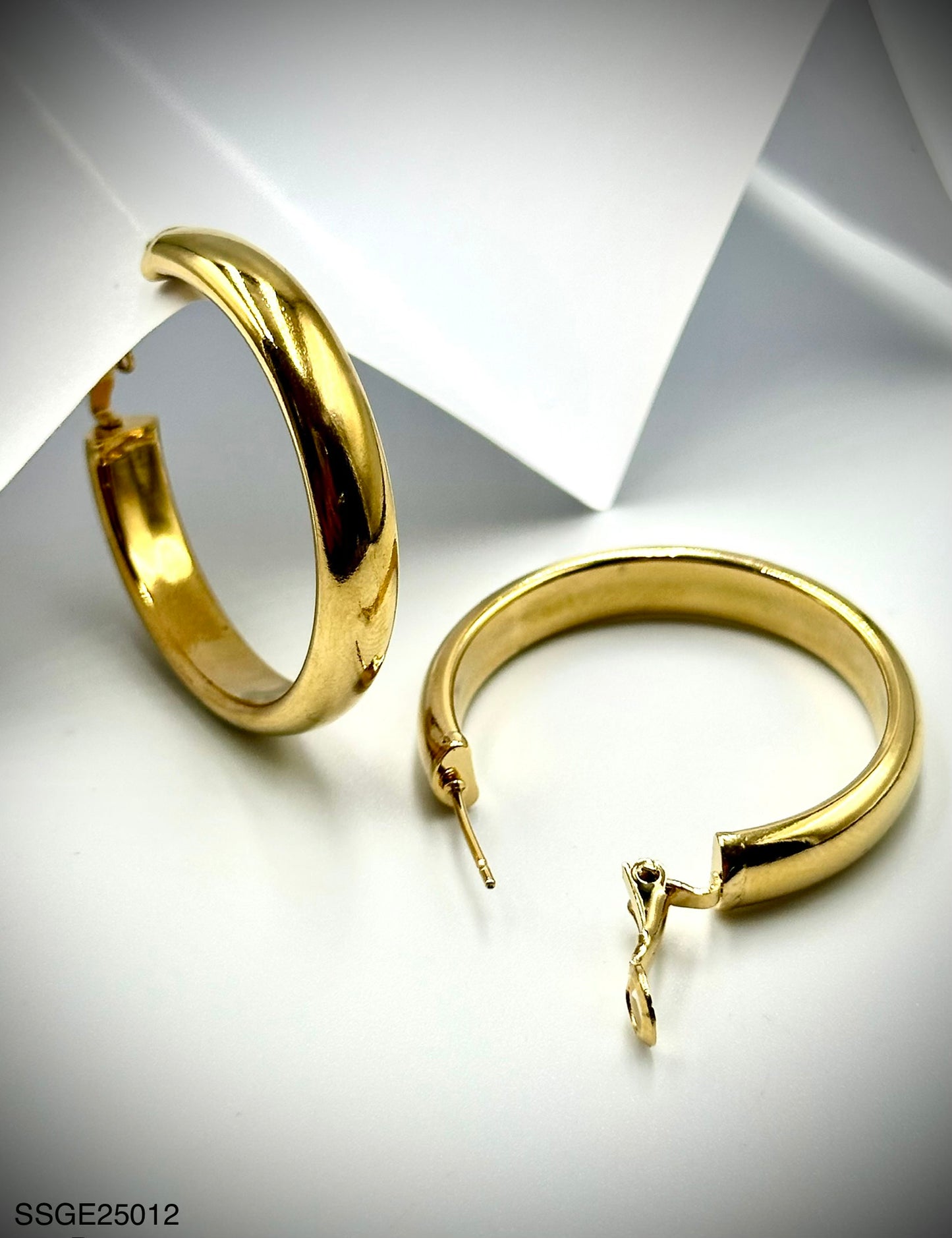 Stainless Steel Earrings (SSGE25012)