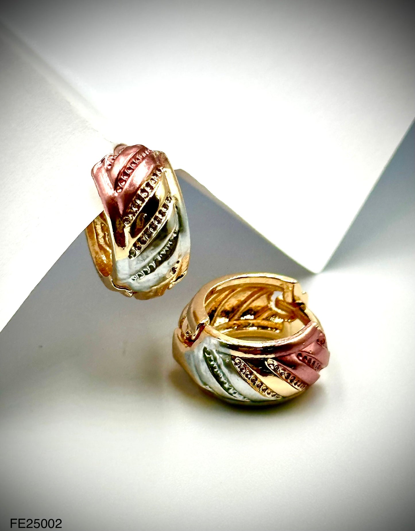 Fashion Earrings (FE25002)