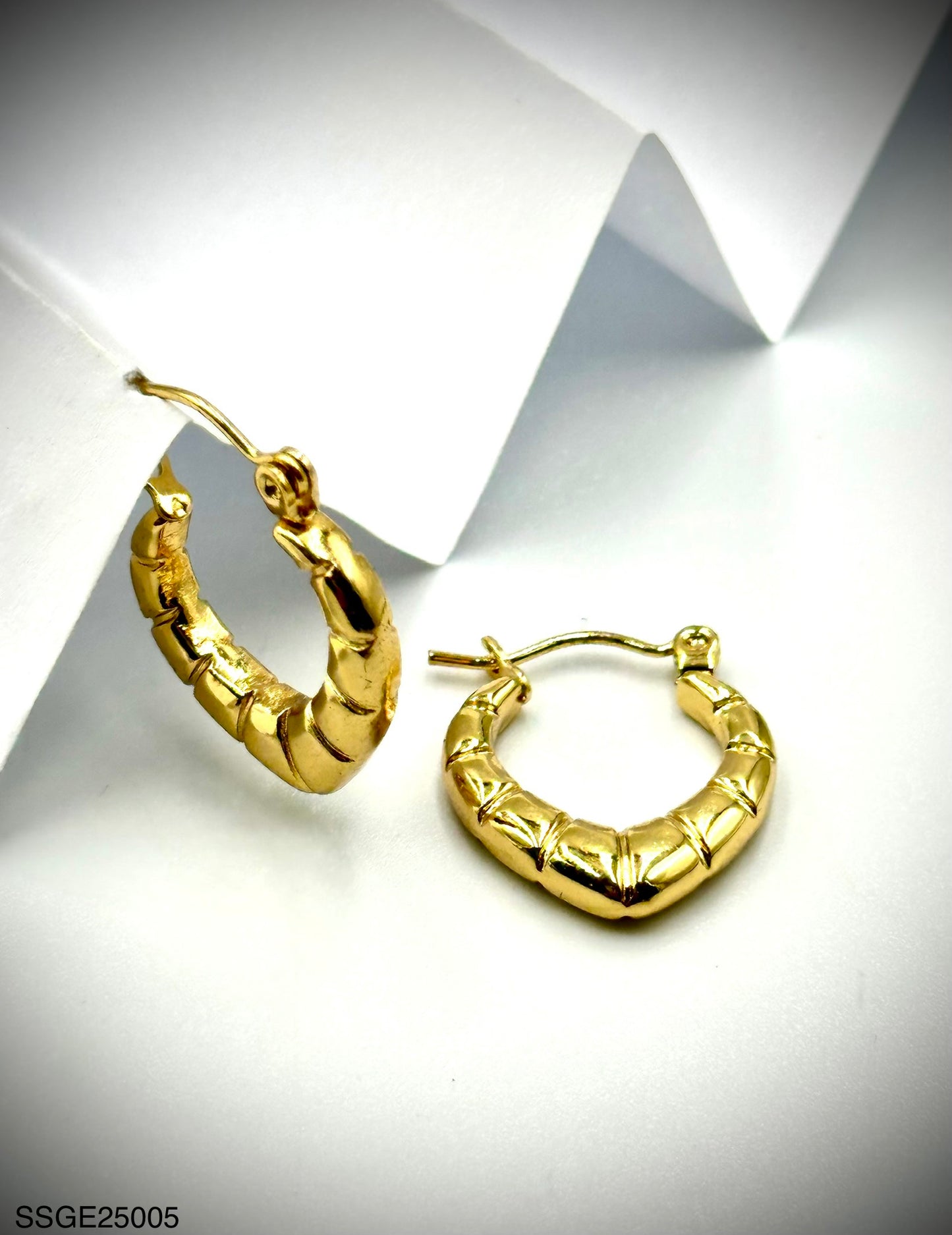 Stainless Steel Earrings (SSGE25005)