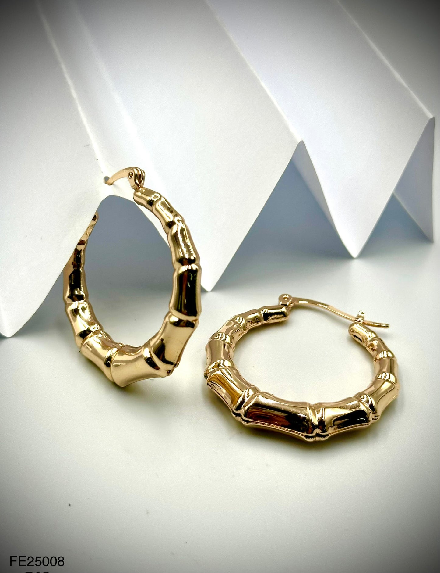 Fashion Earrings (FE25008)