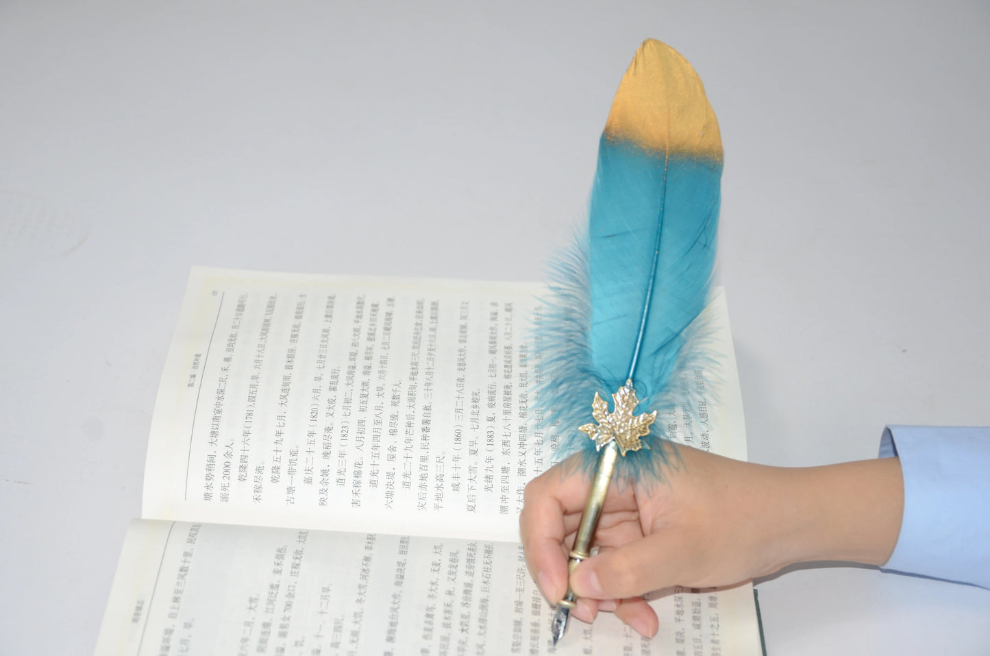 Calligraphy Feather Pen