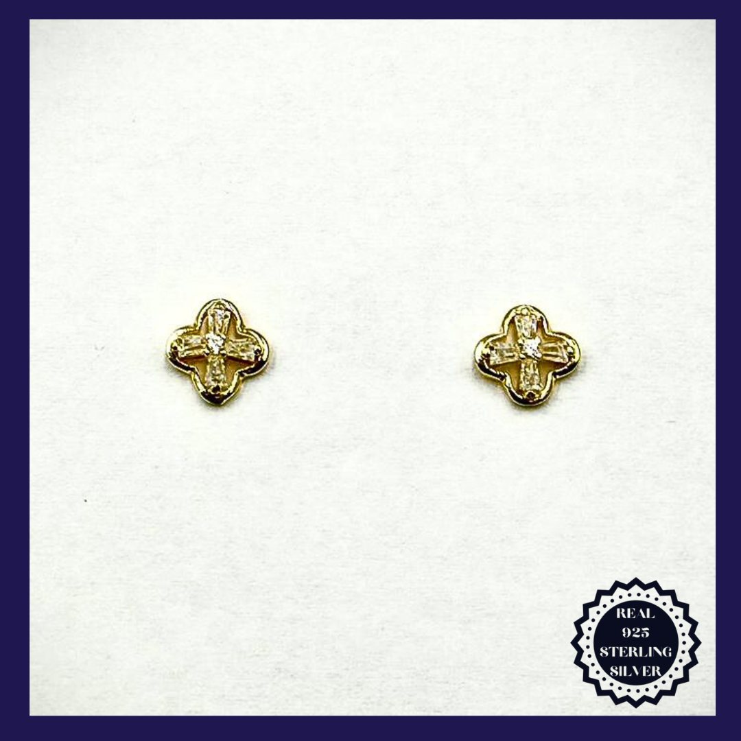 Sterling Silver Earrings (SGE25010)