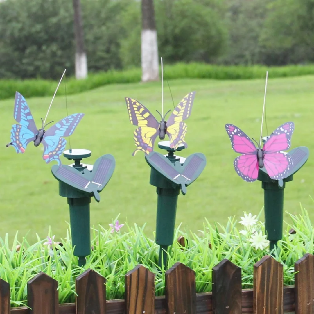 Solar Butterfly