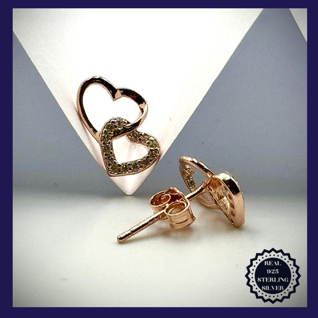 Sterling Silver Earrings (SRGE25002)