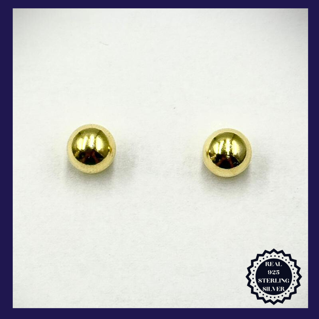 Sterling Silver Earrings (SGE25007)