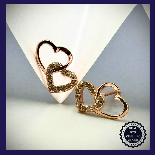 Sterling Silver Earrings (SRGE25002)