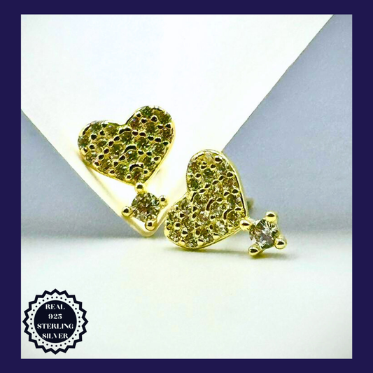 Sterling Silver Earrings (SGE25009)
